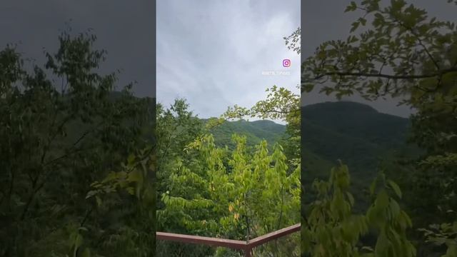 Выбирай жизнь и выбирай жить♥️ смотреть онлайн