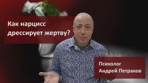 Как нарцисс «дрессирует» жертву