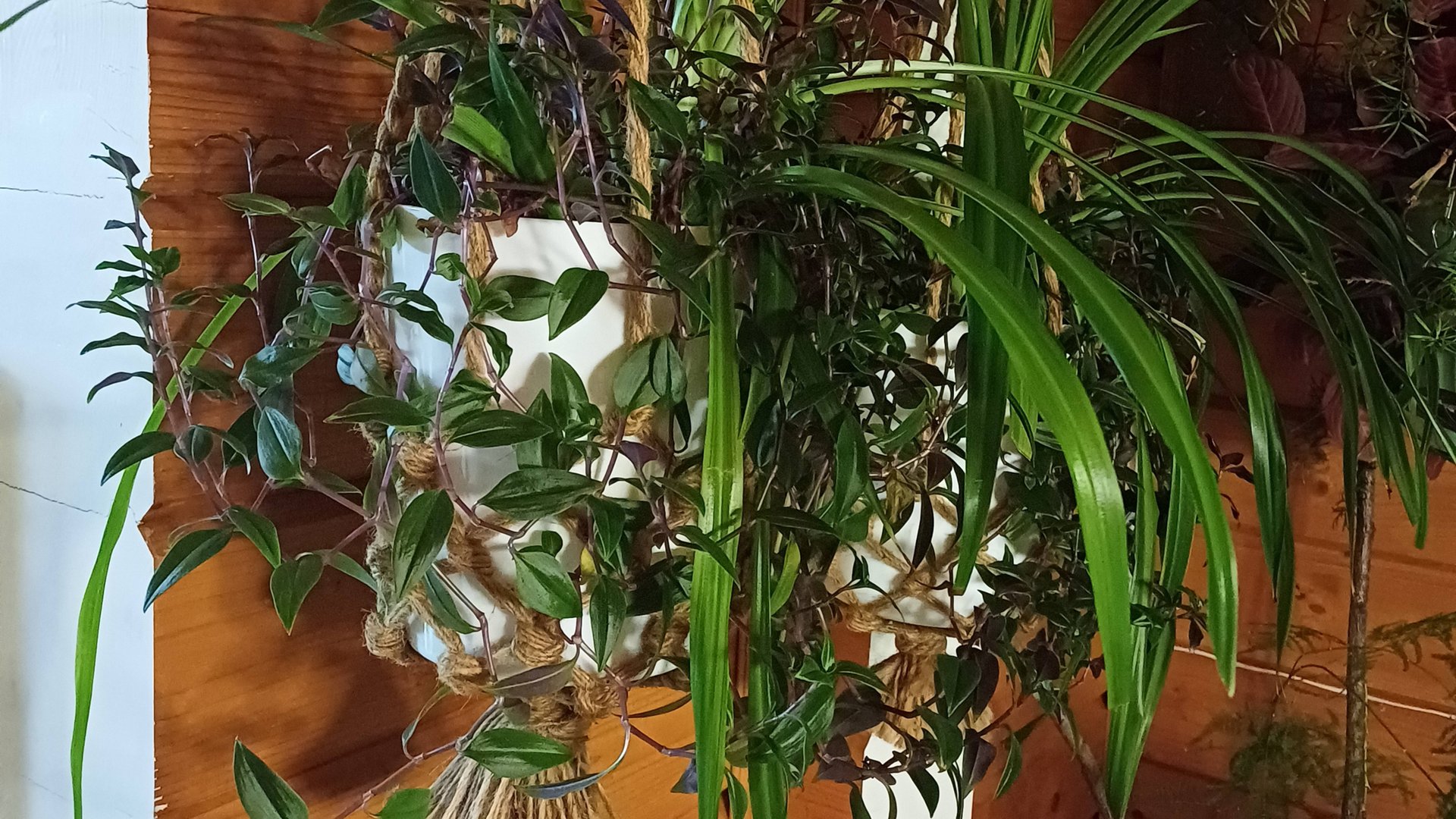 Самый простой плетёный подвес для цветочного горшка. смотреть онлайн