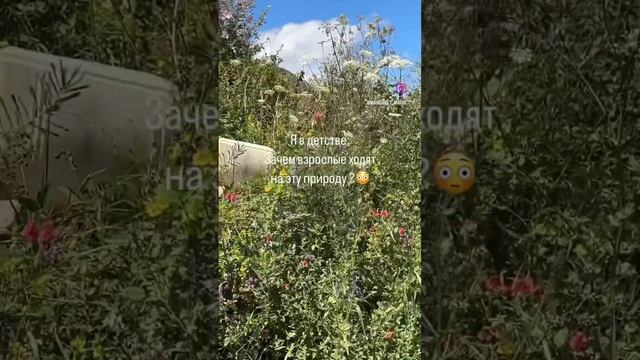 У вас также? смотреть онлайн