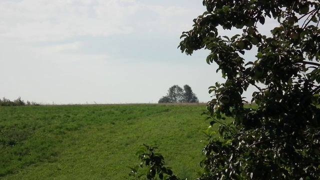 усад_день_корова_DSCF2003_1