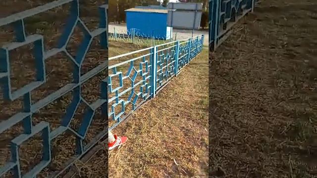 Опасные гуси смотреть онлайн
