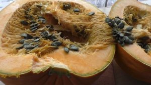 Пробую тыкву ГОЛОСЕМЯННАЯ