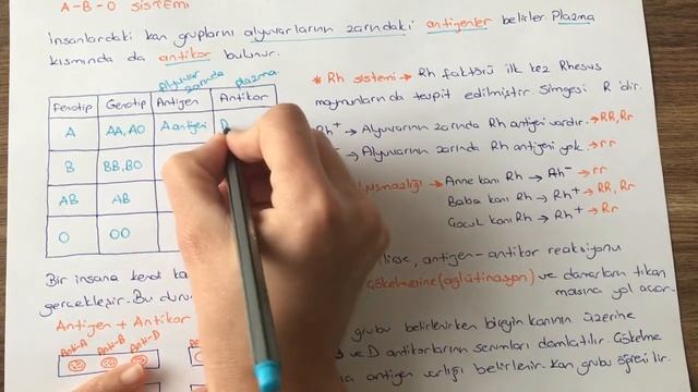 KALITIM [çok alellik, kan grupları ] смотреть онлайн