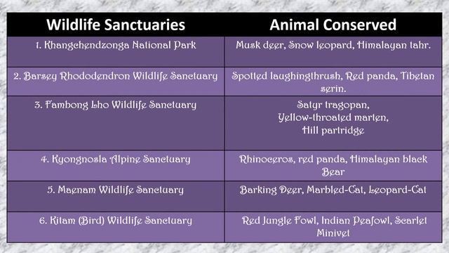 Flora and Fauna of Sikkim and Delhi (Comparison) | Delhi VS Sikkim PPT смотреть онлайн