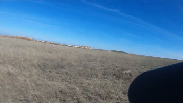 Английский сеттер Карамель, хорошая работа по паре. Крым март 2015 смотреть онлайн