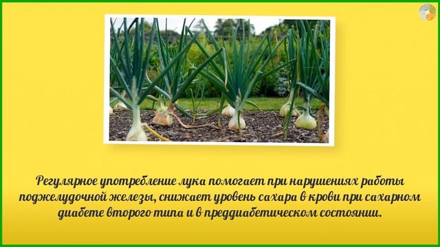 Кулинарное путешествие