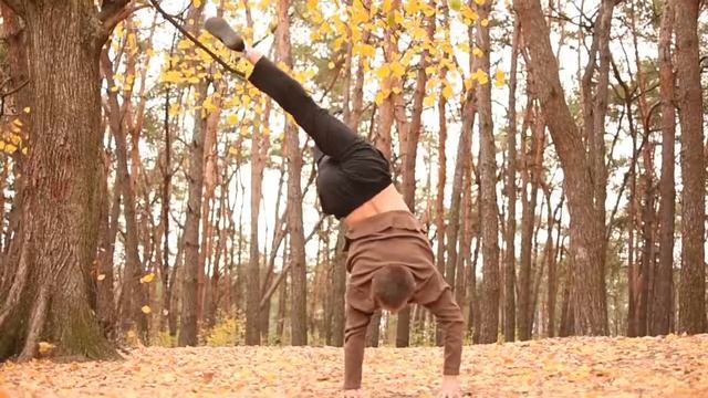 Eduard Brazhnik-Autumn,Handbalance смотреть онлайн