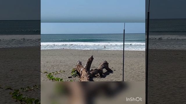 surf report for Sirena surf lodge....the current situation смотреть онлайн