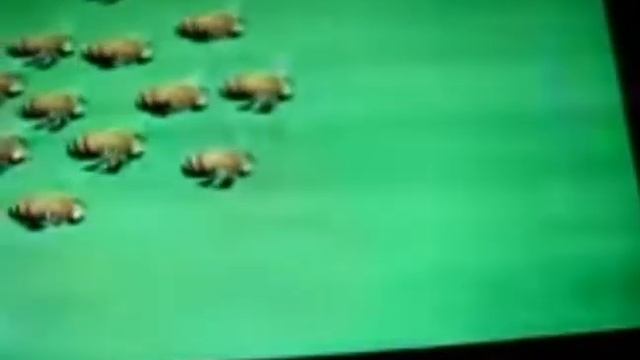 букашки слишком шустрый