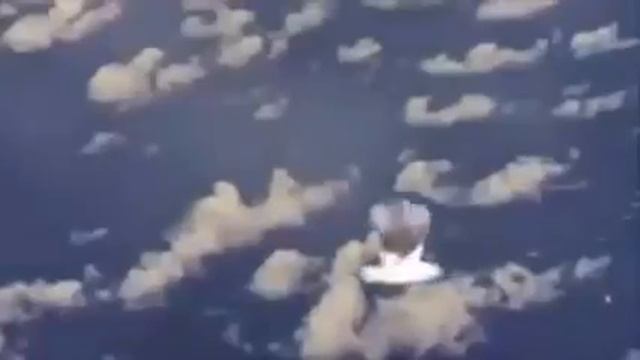 Spongebob satira (isi) смотреть онлайн