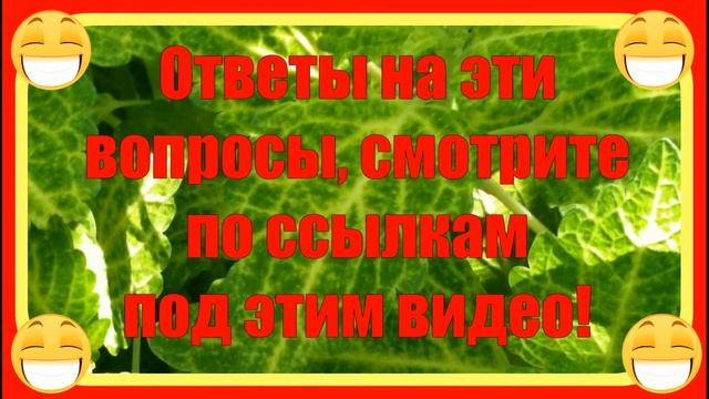 Создание бизнеса в сети интернет почти под ключ смотреть онлайн