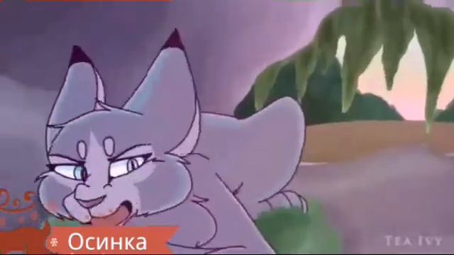 Клип про ШКОЛУ - Коты воители смотреть онлайн