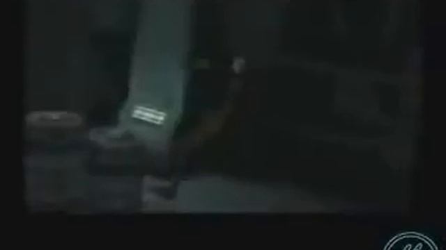 RE, metal gear, devil may cry jigga what faint! смотреть онлайн