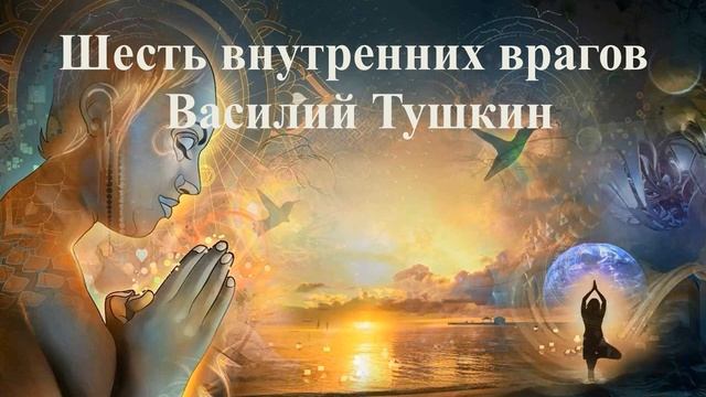 ШЕСТЬ ВНУТРЕННИХ ВРАГОВ _ Василий Тушкин _ ВЕДЫ смотреть онлайн
