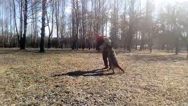 Гал Грос Жанетта смотреть онлайн