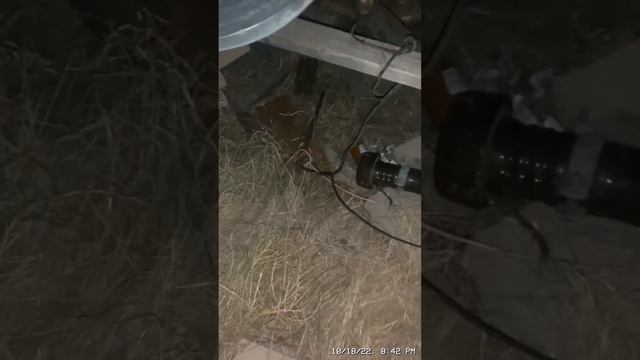 Passing 900,000 volts through a normal 120v 60 watt lightbulb смотреть онлайн
