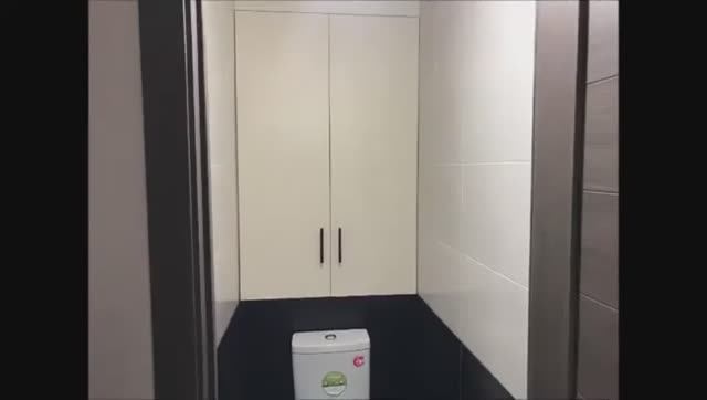 Дверцы в туалете за унитазом