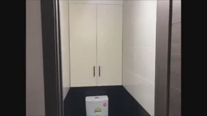 Дверцы в туалете за унитазом