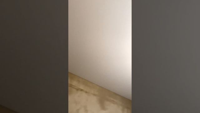 Натянули потолки смотреть онлайн