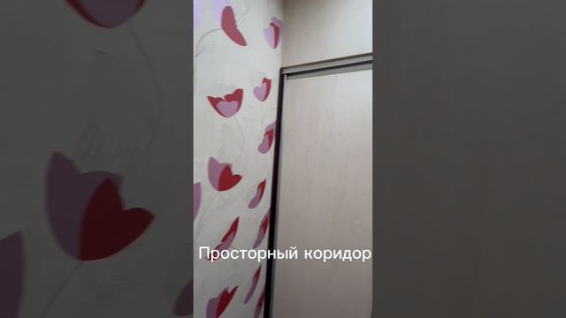 19-12-2024 смотреть онлайн