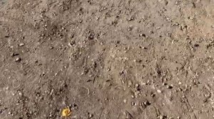 Triangl TR 292. Нива Chevrolet (Travel) 215/75/15. Стоит ли покупать?