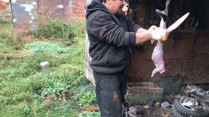 Забой кролика!!!
