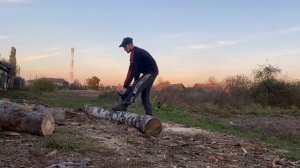 Распиловка дров бензопилой GEOS CSP 356: Легко и быстро