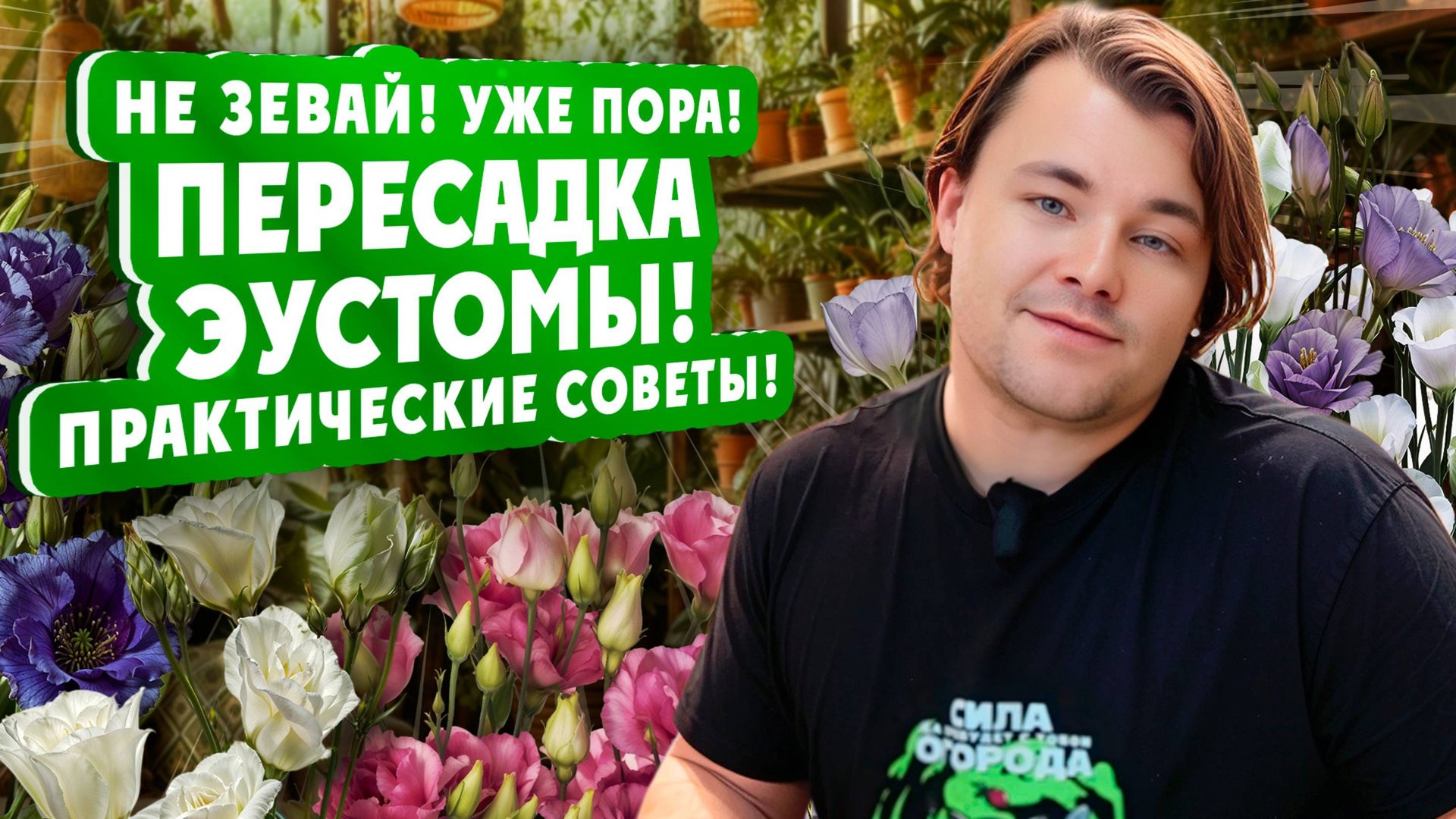 Не зевай! Уже пора! ПЕРЕСАДКА ЭУСТОМЫ Практические советы! смотреть онлайн