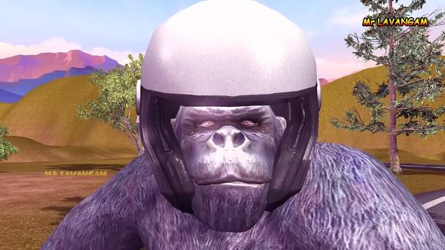 Gorilla Godzilla Siren Head Vs Wolf Cartoon Video || Gorilla Cartoon Compilation