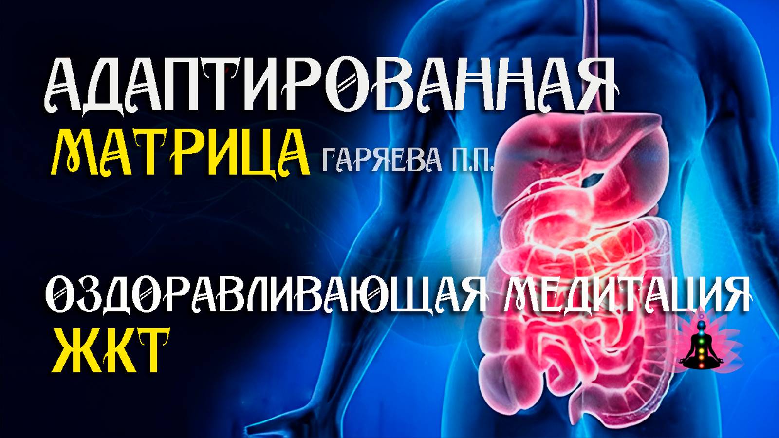 ЖКТ 🌀 Адаптированная программа матрица по технологии Гаряева ☀️ SoftRadio.ru смотреть онлайн