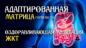 ЖКТ  🌀 Адаптированная программа матрица по технологии Гаряева ☀️ SoftRadio.ru