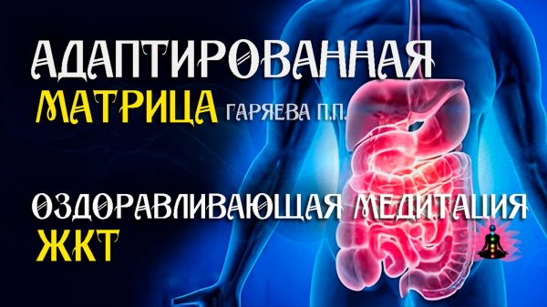 ЖКТ  🌀 Адаптированная программа матрица по технологии Гаряева ☀️ SoftRadio.ru