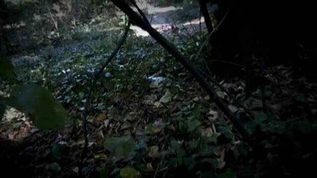 Leon i Andrej, Kosutnjak downhill смотреть онлайн