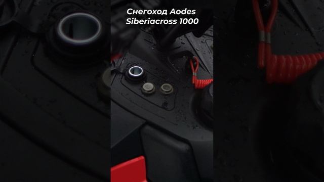 Китайский снегоход Aodes Siberiacross 1000 | ОБЗОР и Тест-Драйв смотреть онлайн