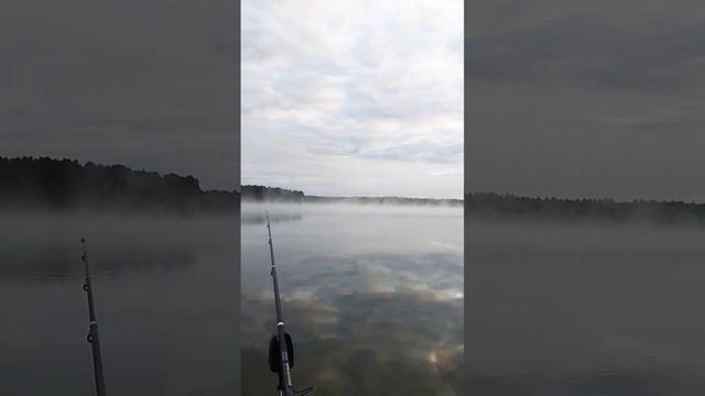 Почему я люблю рыбалку #shortsvideo #отдых #антистресс #рыбалка #рыбак смотреть онлайн