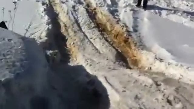 Особенности национального машиноводства смотреть онлайн