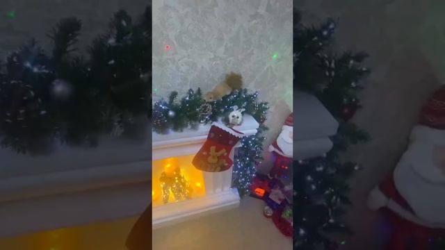 к Новому году готовы смотреть онлайн