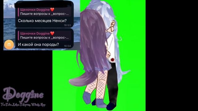 🐾ВОПРОС ОТВЕТ 2!!🐾 смотреть онлайн