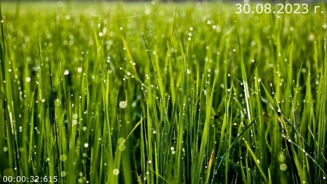 770 О снах 30.08.2023 г смотреть онлайн