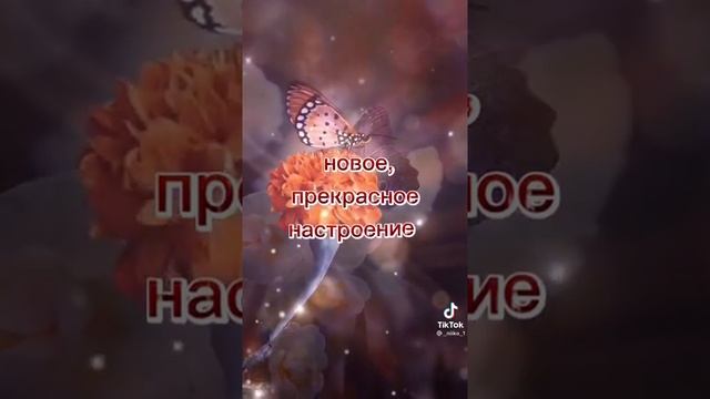 Доброе утро,Ищу пару(Любого пола)Пишем анкеты (ч.о) смотреть онлайн