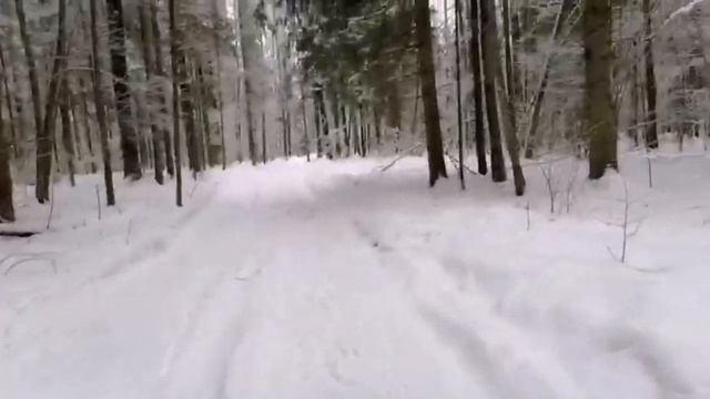 Карабин ВССЛ 366 ТКМ. Стрельба на 155 метров. смотреть онлайн