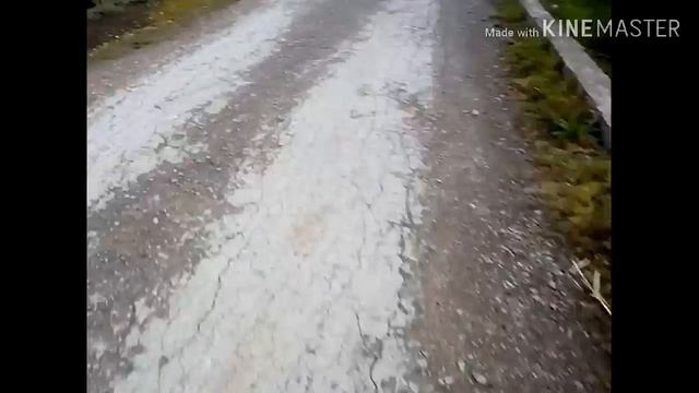 Пошли на заброшенный дом чуть не загрызли собаки смотреть онлайн