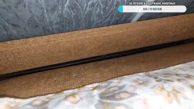 🥳 Большой выгул крыс! Последние новости! Как настроение? 😊 смотреть онлайн