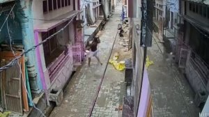 В Индии мужина подрался с обезьяной