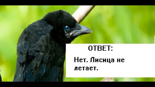 Тесты на логику и внимательность смотреть онлайн
