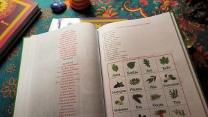 Вечные Истины. Исцеление искажений