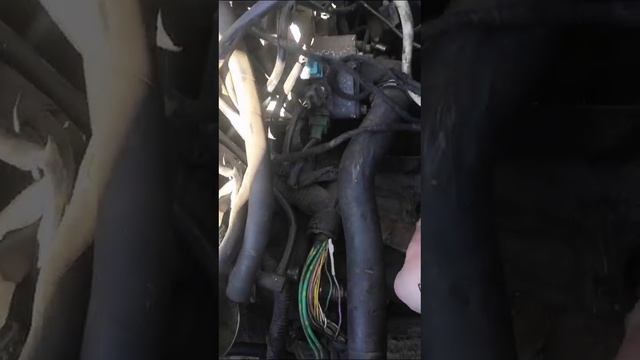 19-12-2024 смотреть онлайн