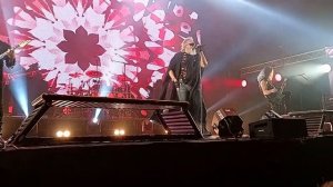 Алиса Гойда Воронеж