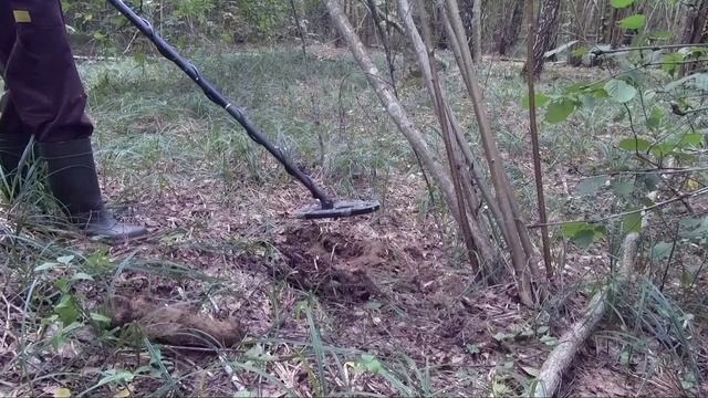 Копаю траки на вырубке, собираю грибы.МЕТАЛЛОКОП. смотреть онлайн